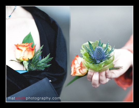 Diptych of thistles and flowers from Anna and Ross's wedding, Bredon Hardwick, Gloucestershire