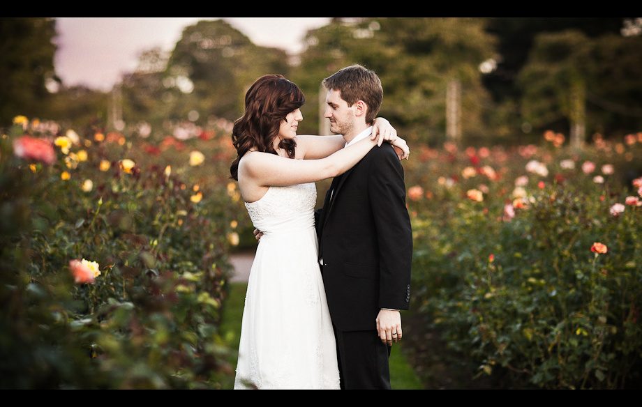 Wedding couple among the roses at an autumn wedding, Regent's Park, London