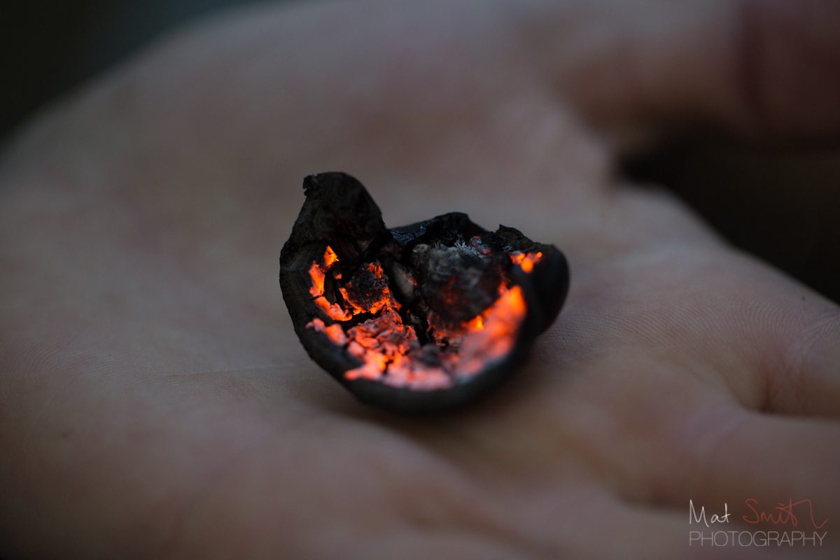 Cramp ball fungus, used as a firelighter