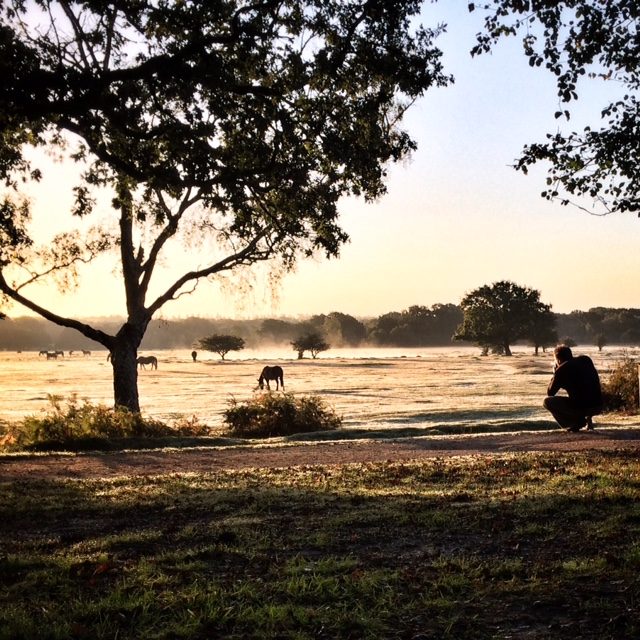 Mat Smith photographing the sunrise, New Forest