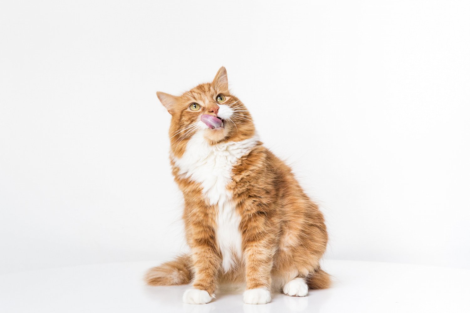 Sybill: Puuuurfect, darling!