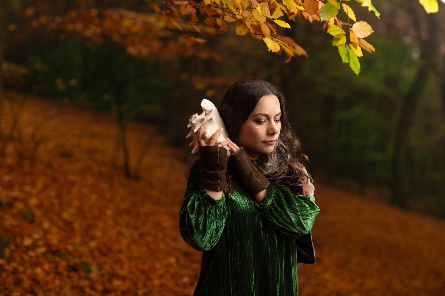 Rebecca Knight, cellist, holding a conch shell to her ear under autumn beech leaves, portrait by Mat Smith Photography, Chiltern beech woods, Beaconsfield